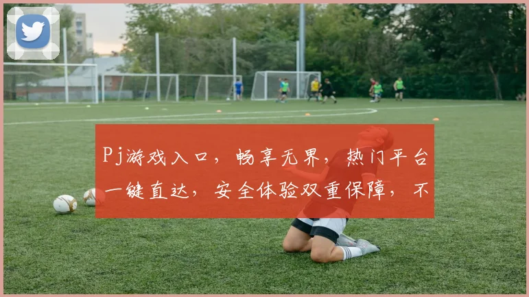 Pj游戏入口，畅享无界，热门平台一键直达，安全体验双重保障，不容错过