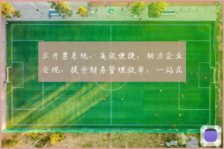 云开票系统，高效便捷，助力企业合规，提升财务管理效率，一站式解决方案。