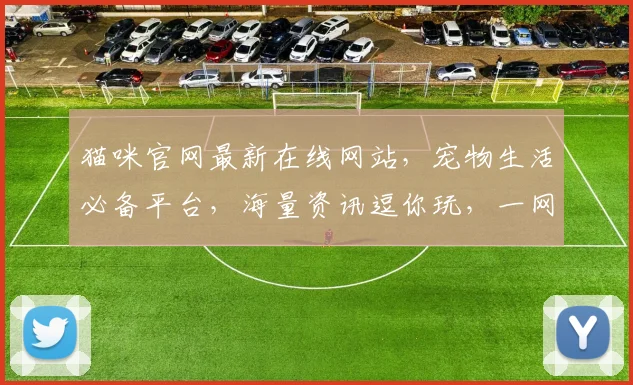 猫咪官网最新在线网站，宠物生活必备平台，海量资讯逗你玩，一网打尽